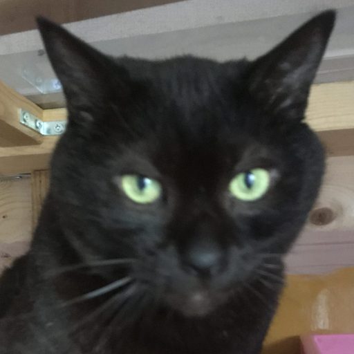 シベナロクのコツコツぶろぐ